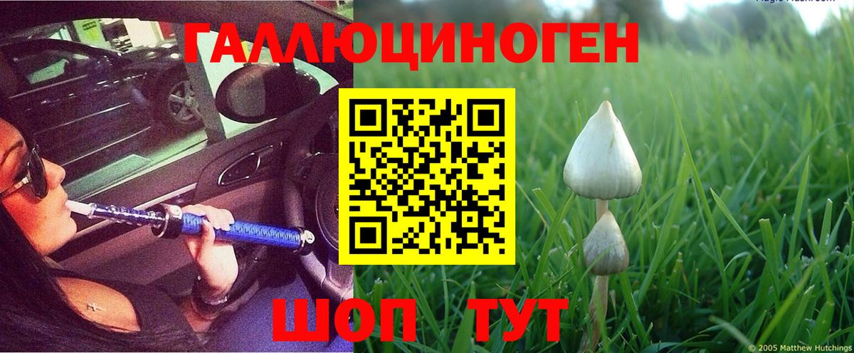 Псилоцибиновые грибы Magic Shrooms  Псилоцибиновые грибы Cubensis  Балабаново  Вход с VPN 